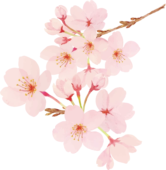 トップページ桜オブジェクト